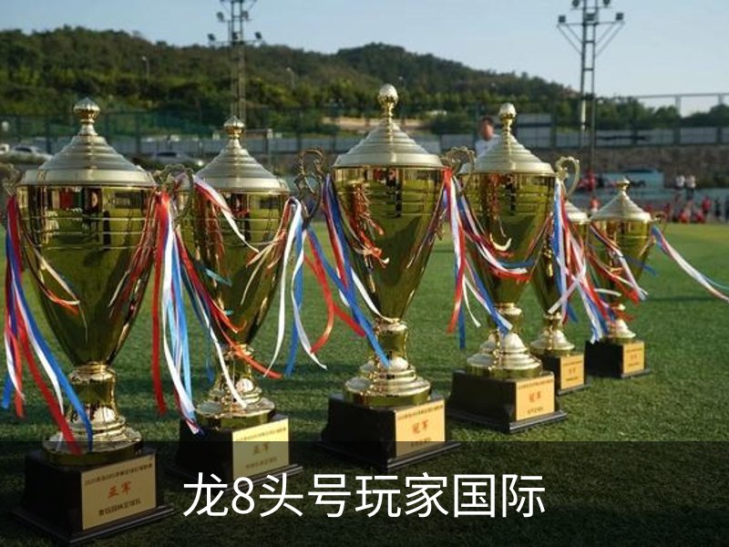走进龙8头号玩家国际